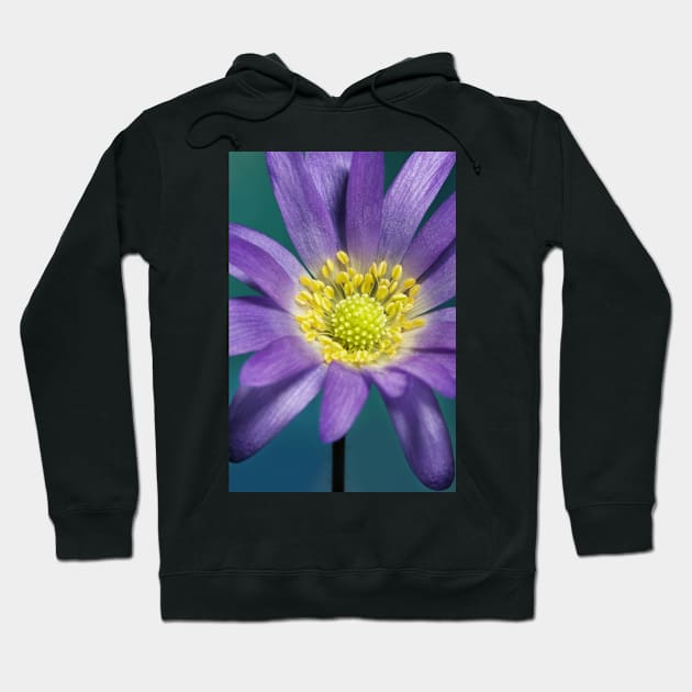 Spring Anemone Hoodie by SharonJ